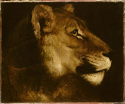 156px image